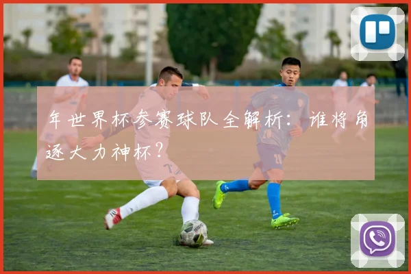 年世界杯参赛球队全解析：谁将角逐大力神杯？
