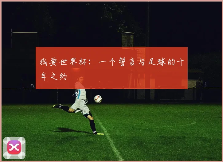 我要世界杯：一个誓言与足球的十年之约