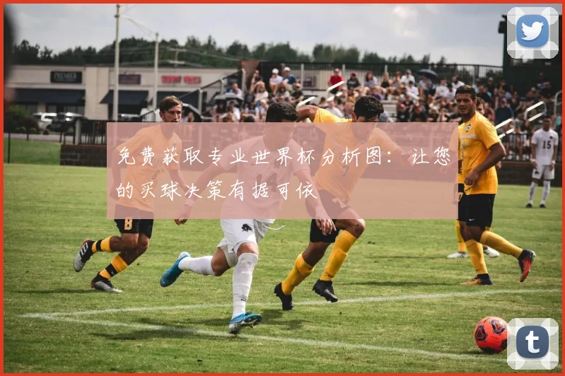 免费获取专业世界杯分析图：让您的买球决策有据可依