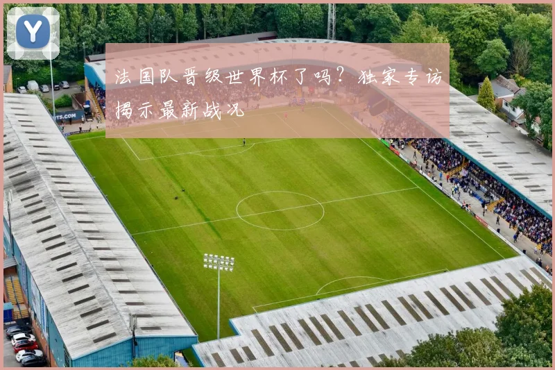 法国队晋级世界杯了吗？独家专访揭示最新战况