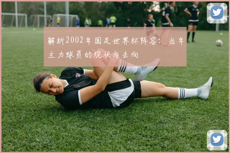 解析2002年国足世界杯阵容:当年主力球员的现状与去向