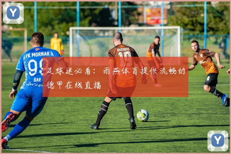 足球迷必看:雨燕体育提供流畅的德甲在线直播