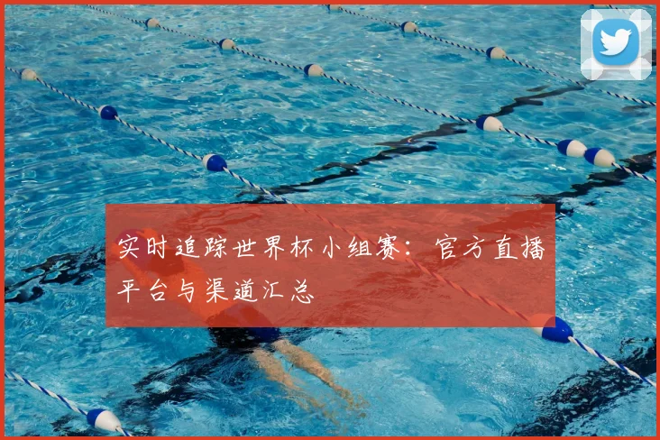 实时追踪世界杯小组赛:官方直播平台与渠道汇总