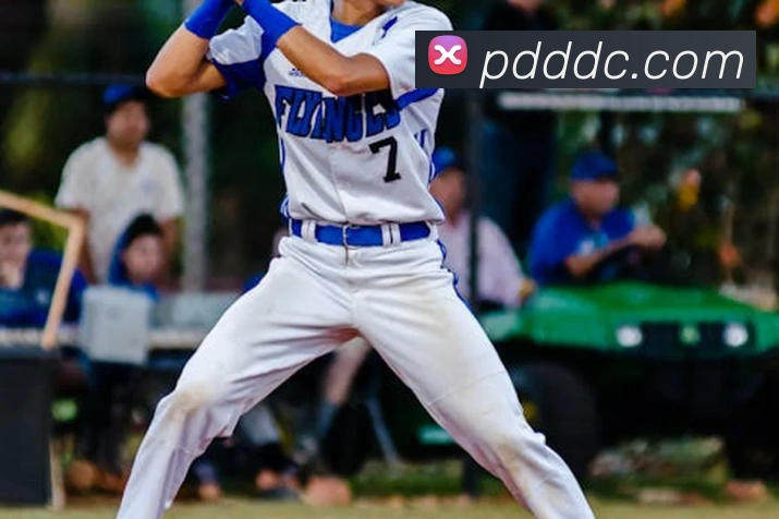 开云手机登录官网平台生态图