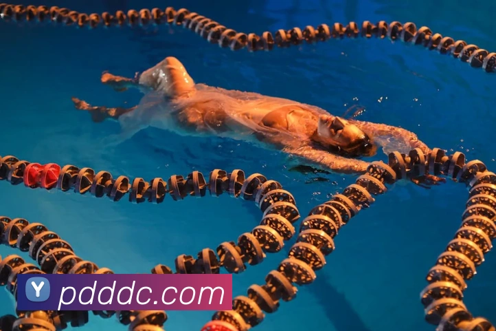 开云手机登录官网全站App 开云手机登录官网全站App